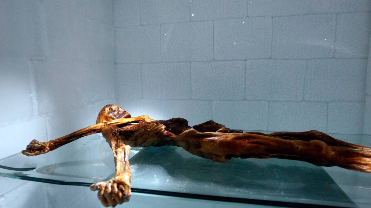 "L'homme des glaces" Ötzi, bientôt héros au cinéma