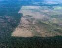 La forêt amazonienne pourrait perdre son plus généreux protecteur