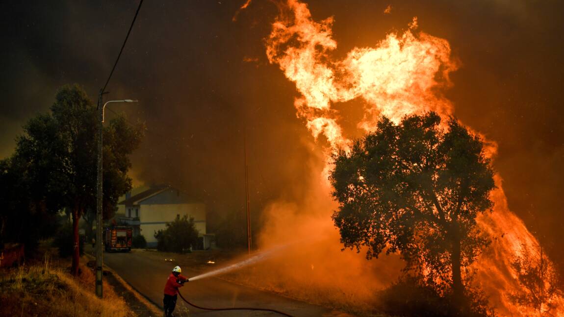 Portugal: 141.000 hectares partis en fumée depuis le début de l'année