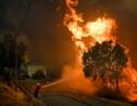 Portugal: 141.000 hectares partis en fumée depuis le début de l'année