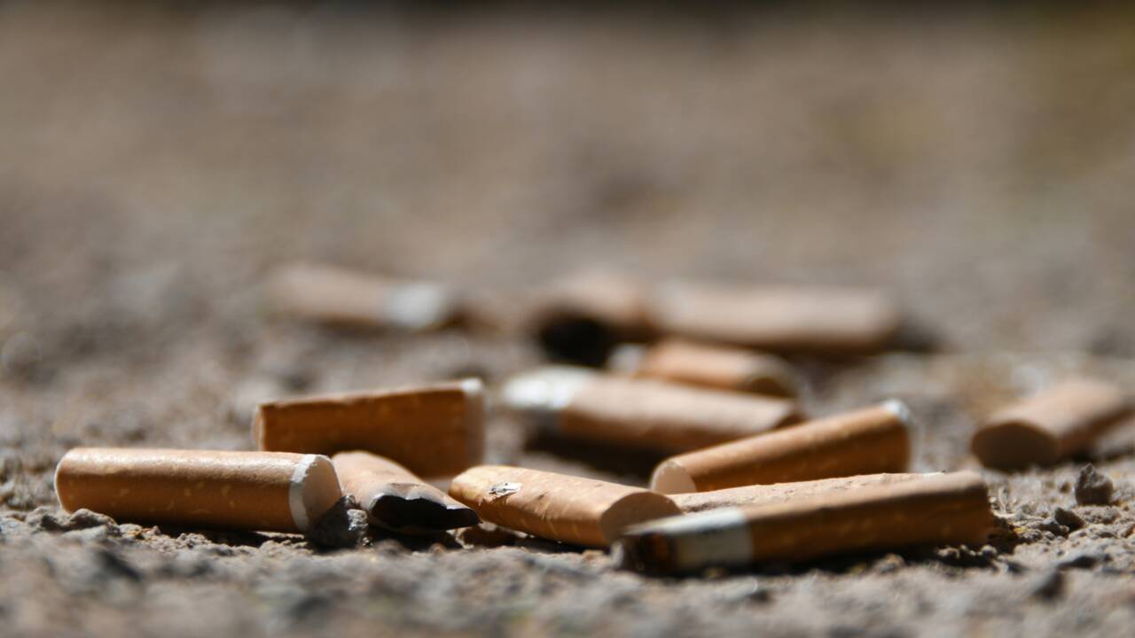 Paris va expérimenter les parcs sans tabac