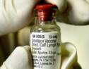 Découverte de l'ADN du plus ancien virus de la variole