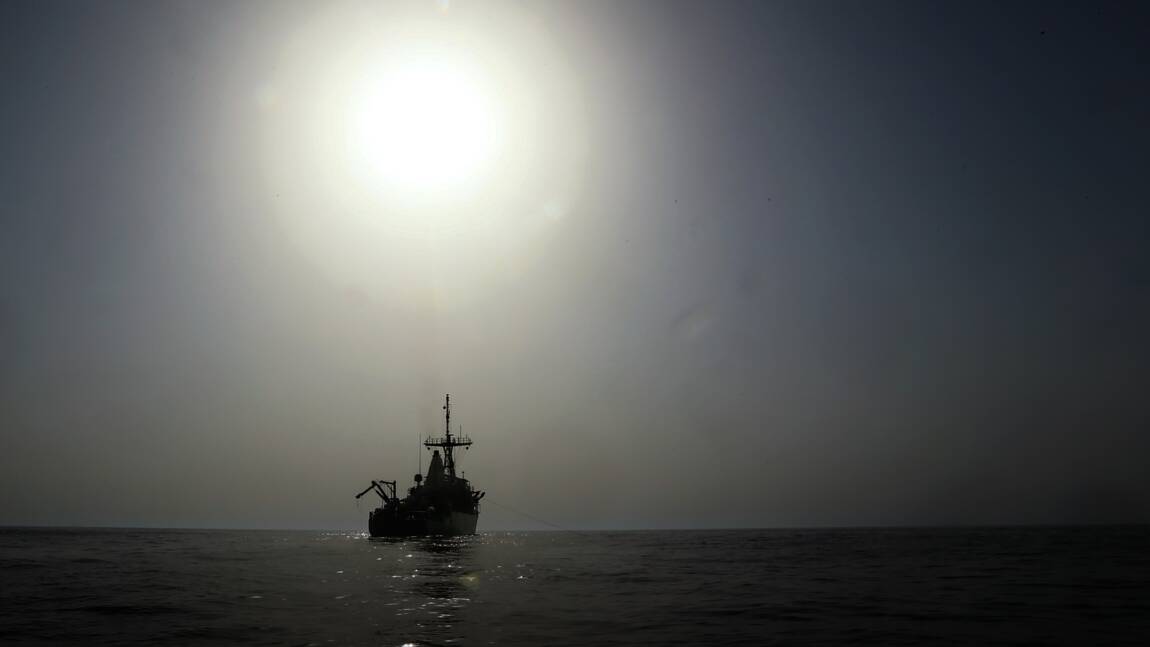En mer d'Arabie, une inquiétante "zone morte" ne cesse de s'étendre