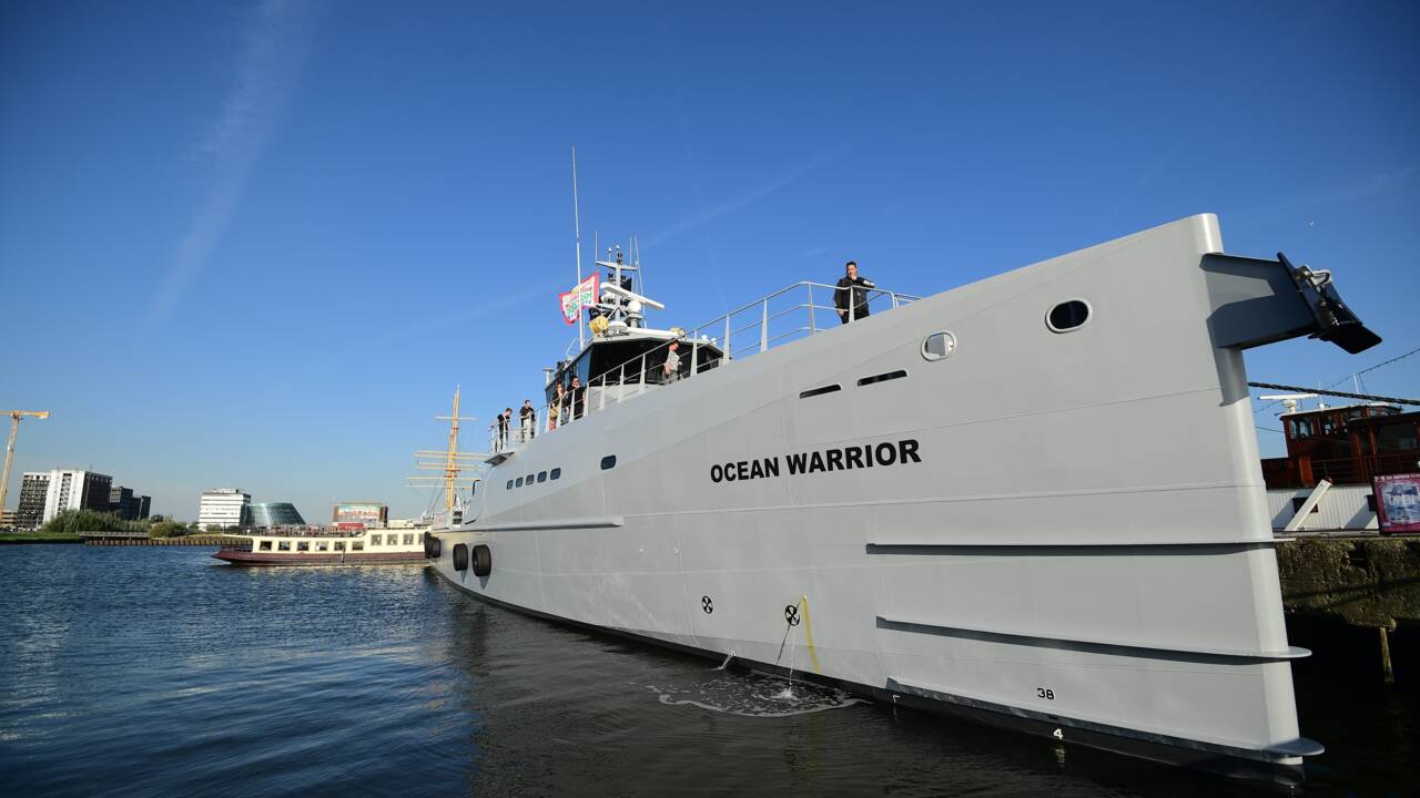 Les navires de Sea Shepherd en route pour défier les baleiniers japonais