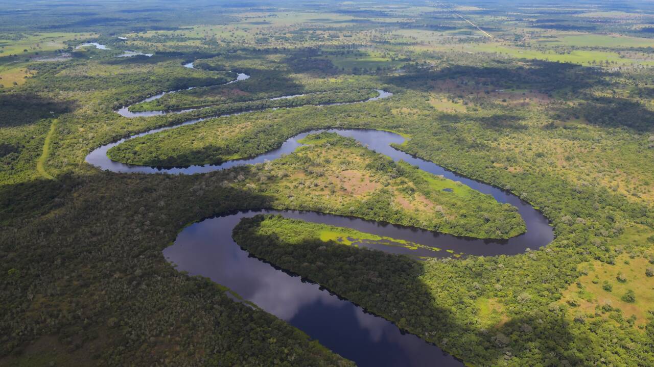 Le Pantanal, la plus grande zone humide de la planète