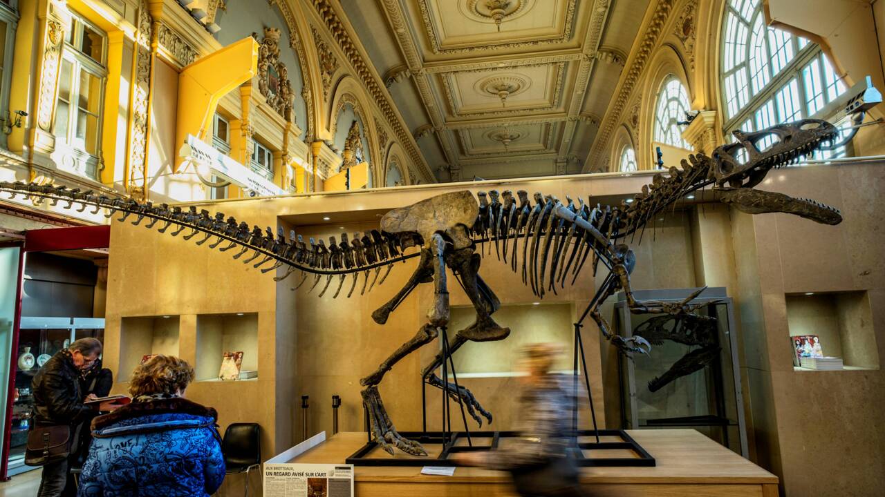 Un squelette presque complet de  dinosaure adjugé 1.128.000 euros à Lyon