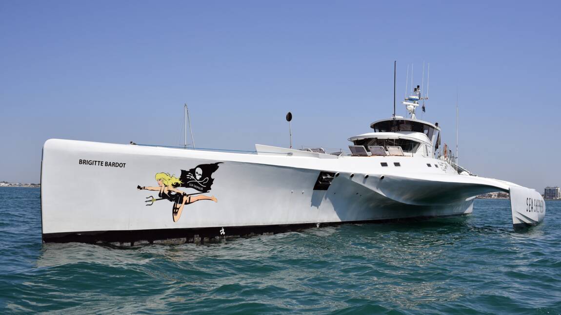 L'ONG Sea Shepherd reprend sa chasse aux filets "fantômes" à Palavas