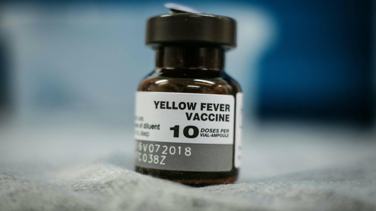 Comment la fièvre jaune s'est propagée au Brésil