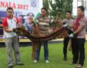 Indonésie : arrestation de deux hommes soupçonnés d'avoir chassé le tigre