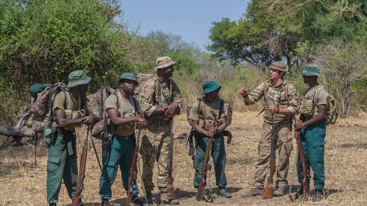 Au Malawi, l'armée britannique en renfort de la lutte contre le braconnage 