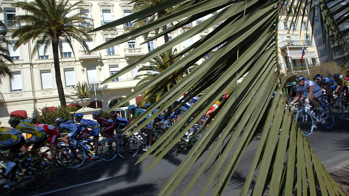 Nice défend une "solution 100% naturelle" pour sauver ses palmiers