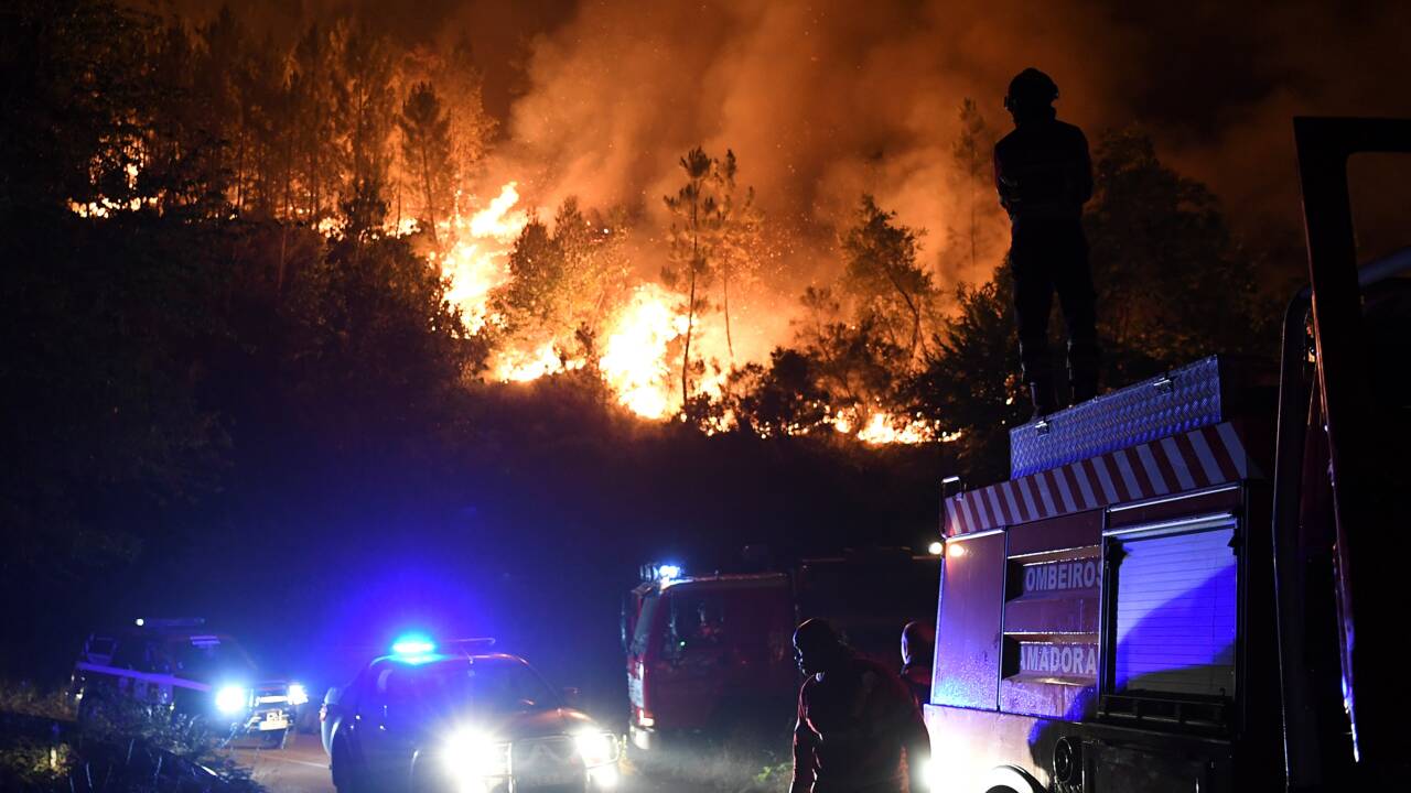 Feux de forêt au Portugal: 61.600 hectares partis en fumée