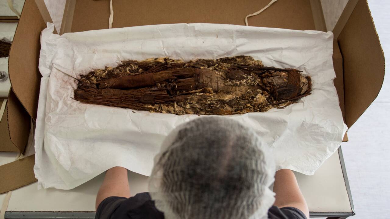 Au Chili, les momies les plus vieilles du monde passent un scanner