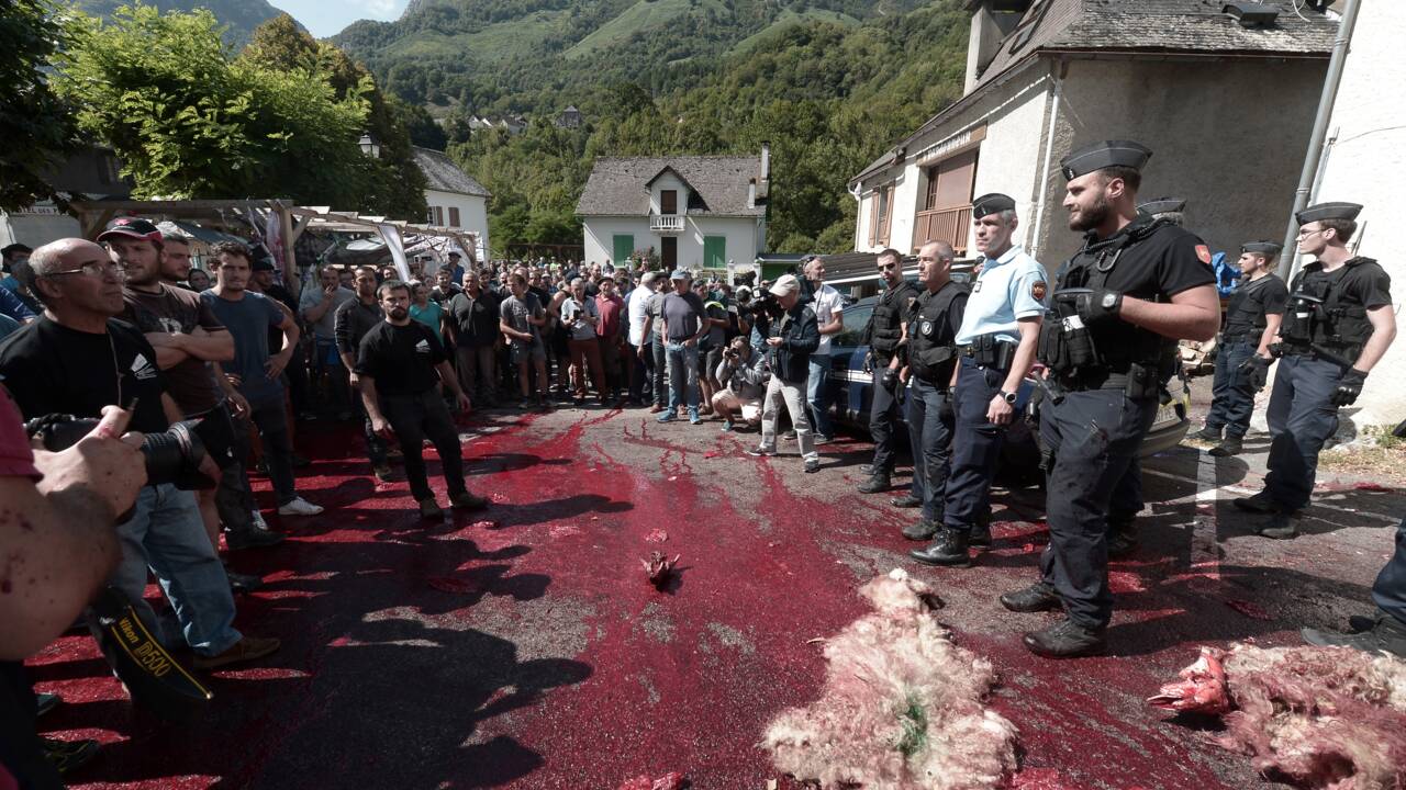 Pyrénées: après les ours, la vallée d'Aspe en rébellion contre les camions dangereux