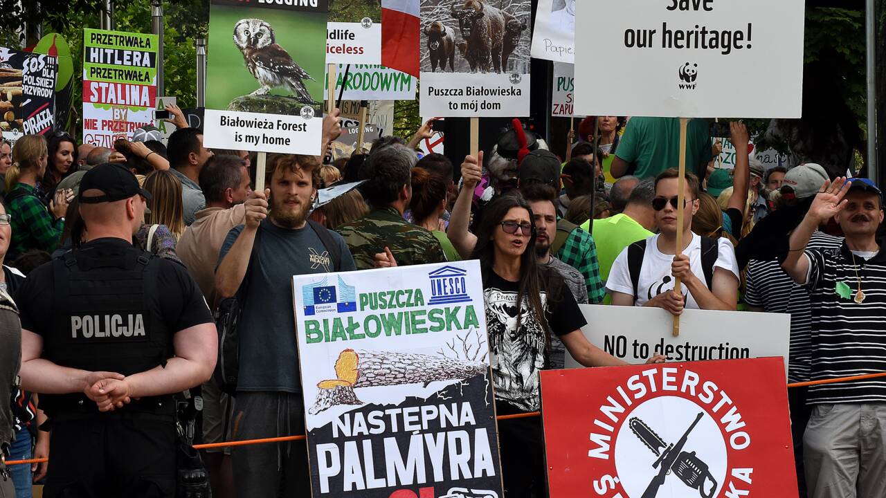 Forêt de Bialowieza: la justice européenne ordonne à la Pologne de suspendre les coupes