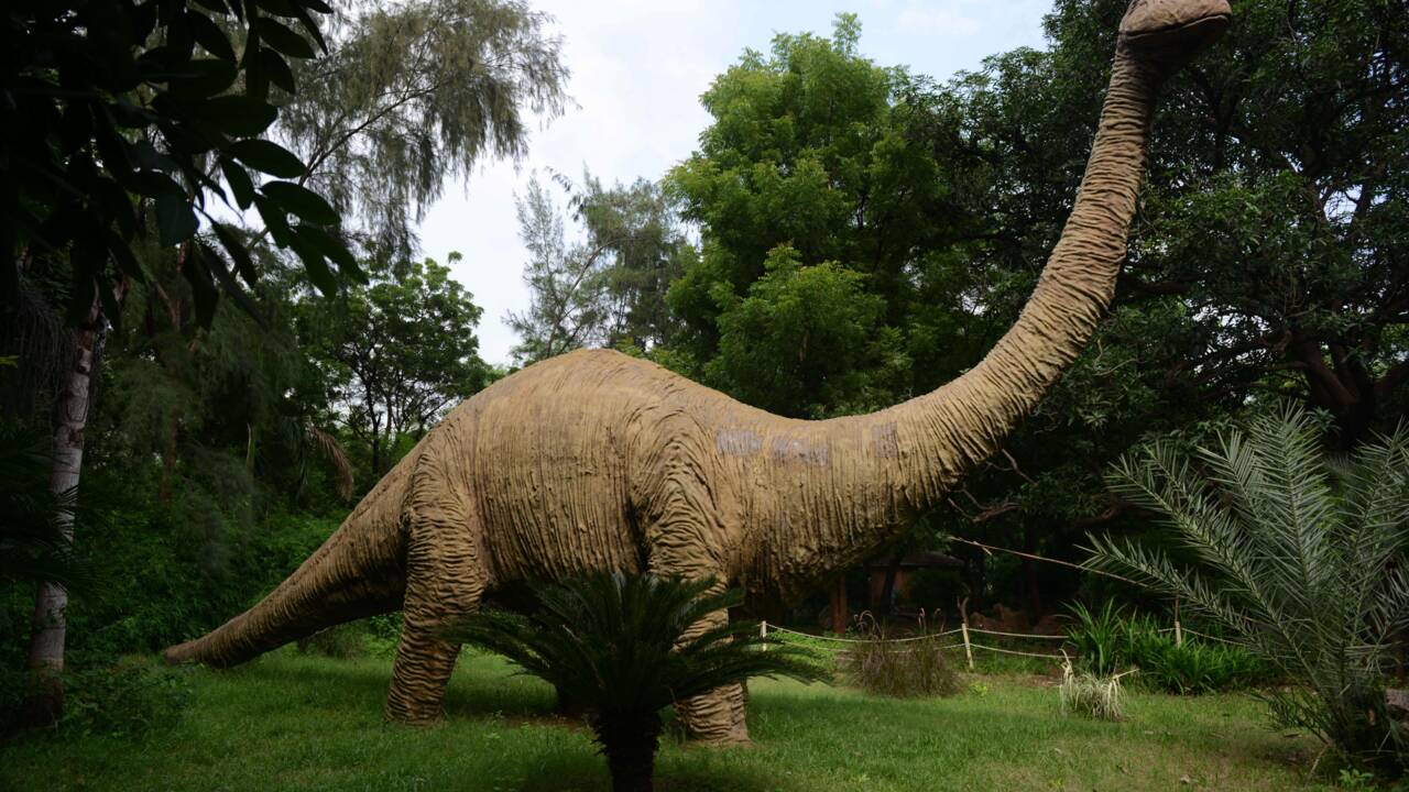 Clin d'oeil à "Jurassic Park": une queue de dinosaure retrouvée dans de l'ambre