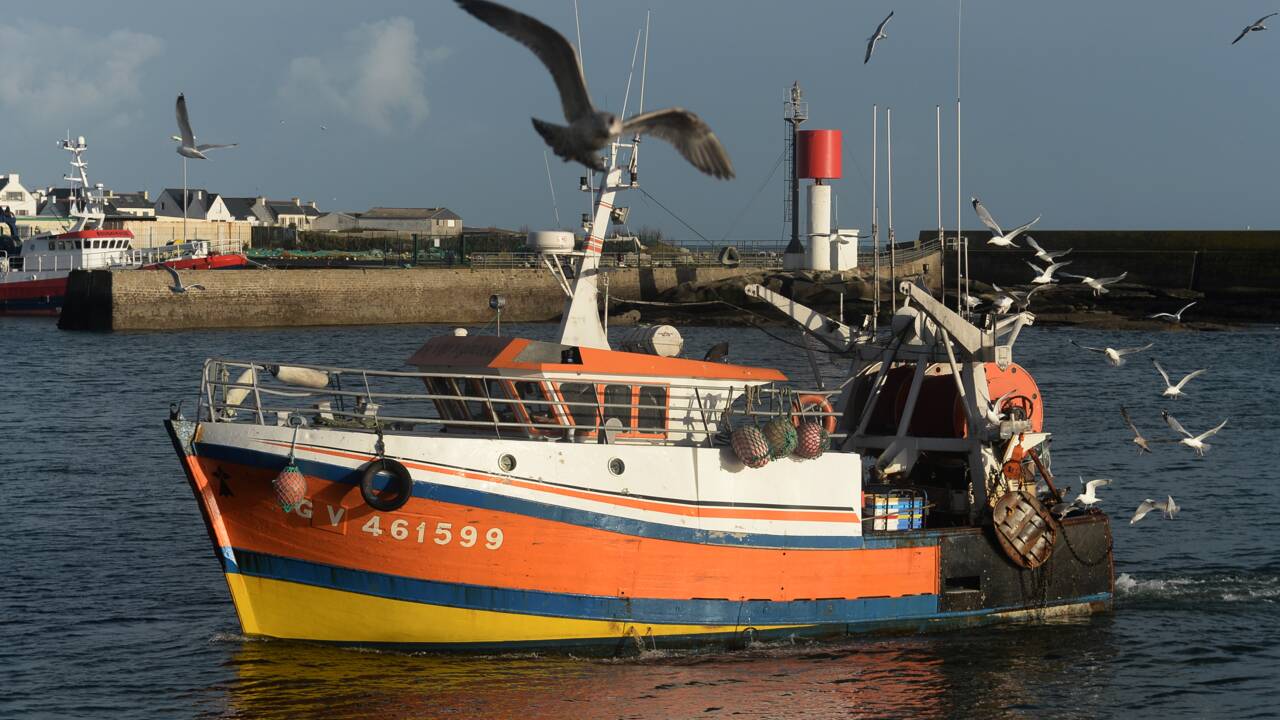 L'Europe s'engage pour "sauver" les stocks de poissons en Méditerranée