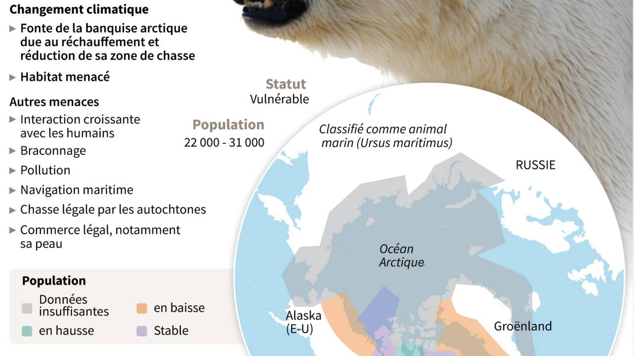 L'Administration Obama propose un nouveau plan pour protéger les ours polaires