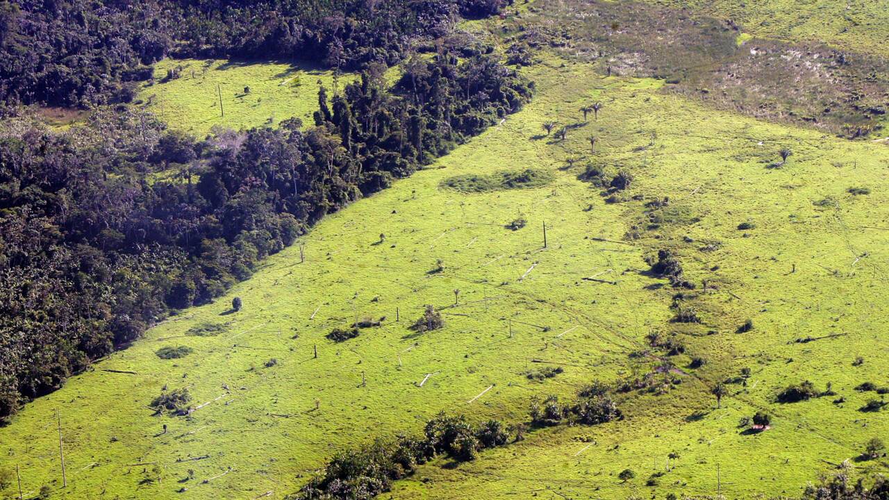 La forêt amazonienne exploitée depuis 2.000 ans par les peuples anciens
