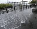 New York inondée tous les 5 ans, un scénario possible (étude)