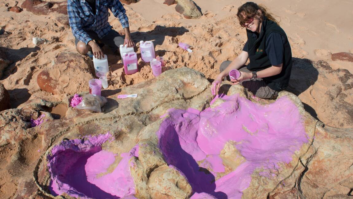 Des empreintes de dinosaures dans le "Jurassic park" australien