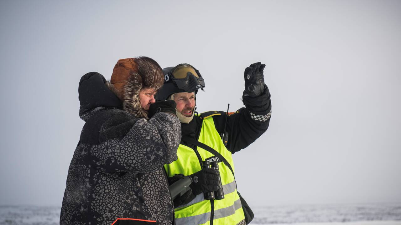 VIDÉO - En Norvège, les rennes victimes du "coup de chaud" dans l'Arctique