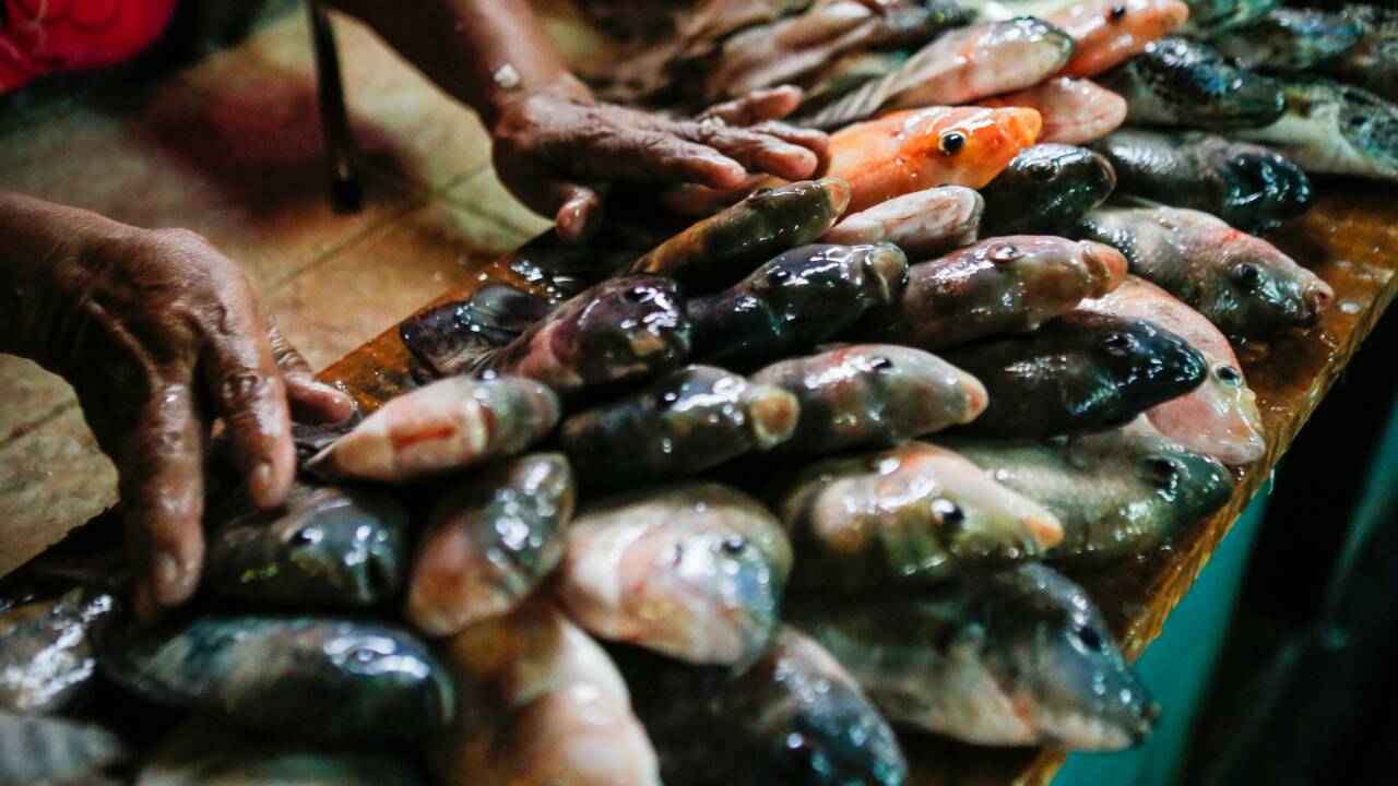 Au Nicaragua, des habitants réduits à manger le poisson d'un lac pollué