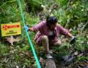 Amazonie : Texaco/Chevron pollue la forêt pendant 30 ans et refuse de payer