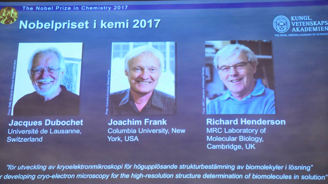 Congeler pour mieux voir: le Nobel de chimie à un Suisse, un Américain et un Britannique