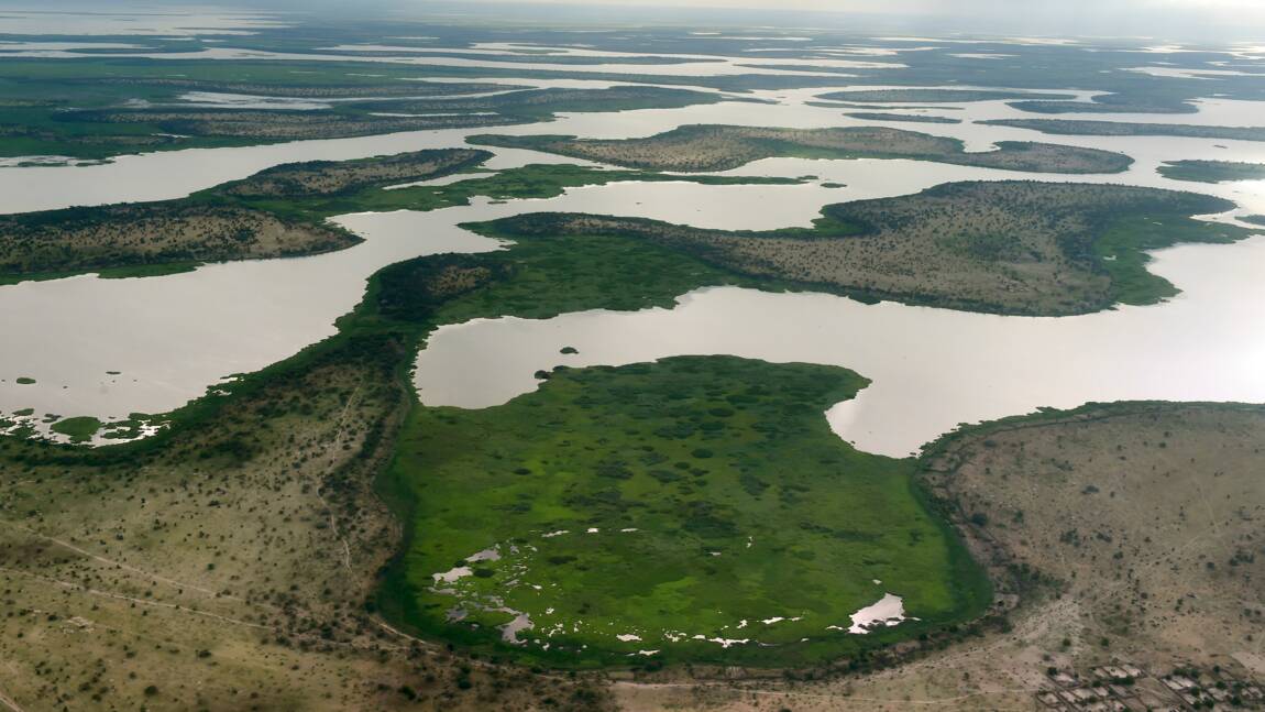 Pour empêcher la disparition du lac Tchad, un vieux projet controversé exhumé
