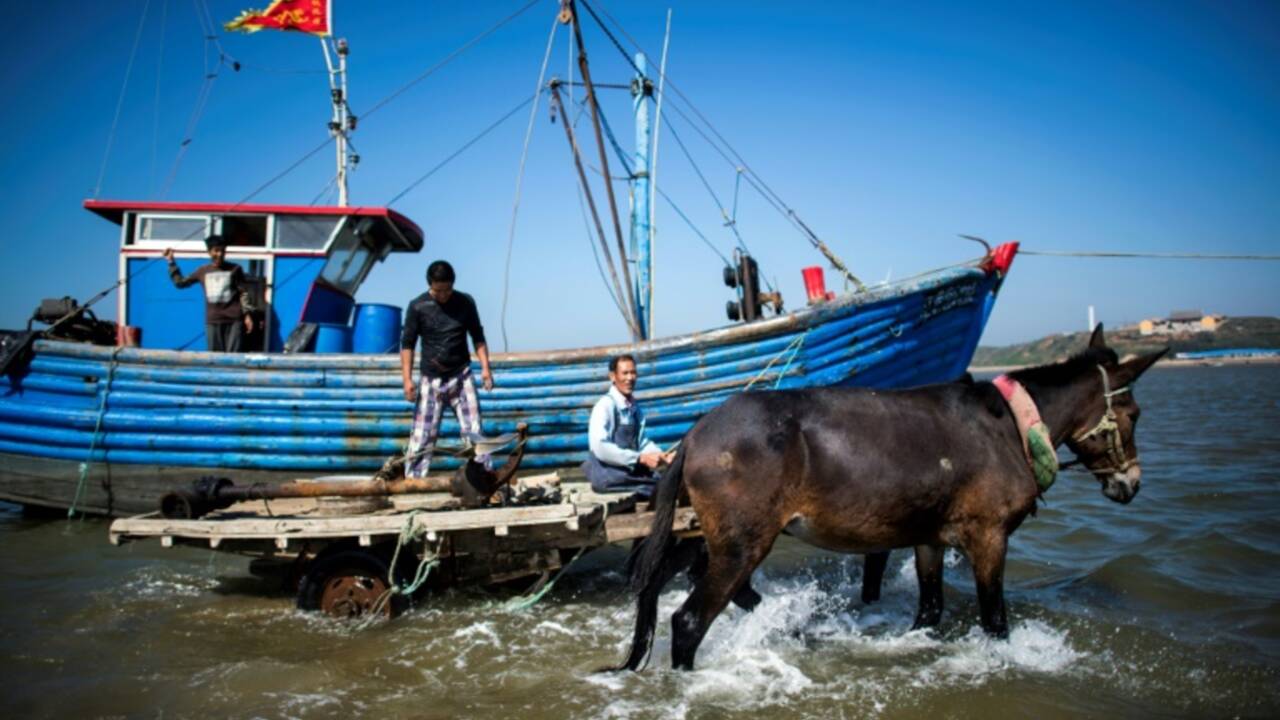 Chine: derniers tours de roue pour les laboureurs de la mer