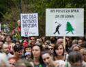 Les défenseurs de la forêt de Bialowieza manifestent à Varsovie