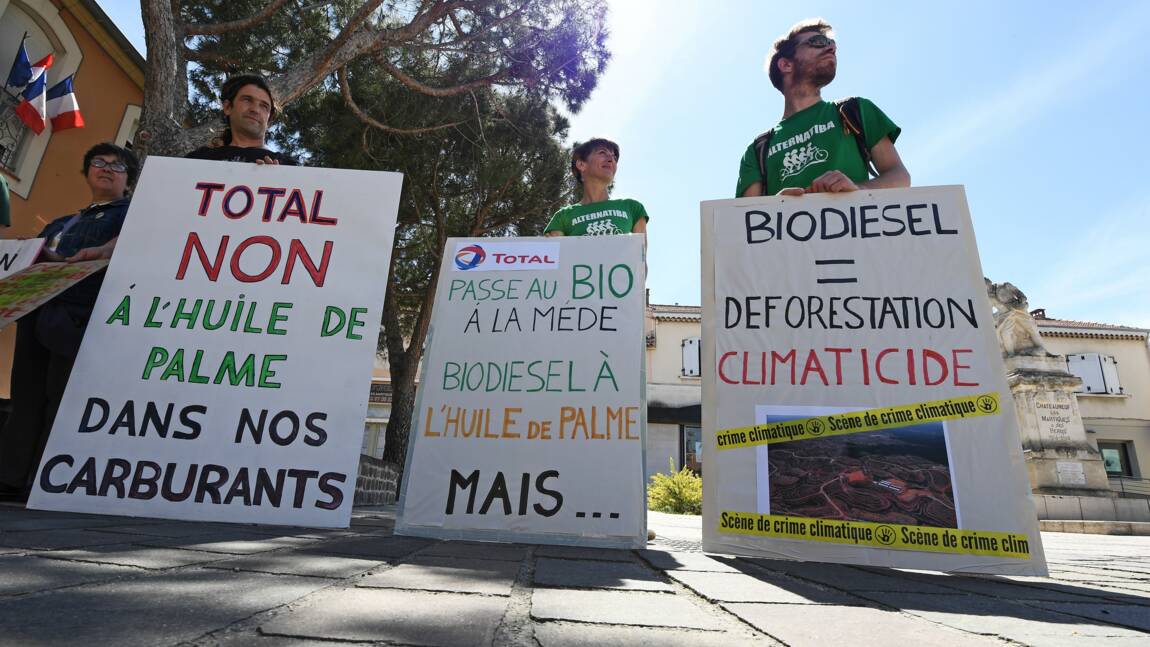 Bio-raffinerie de La Mède: Total s'engage à limiter l'huile de palme