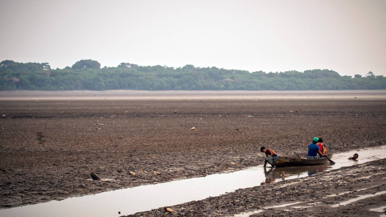 Le nord-est du Brésil victime d'une sécheresse historique