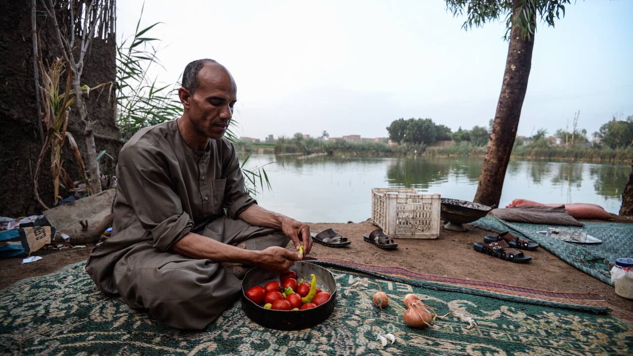 Egypte: à Menouf, chez les pêcheurs de la "mer pharaonique"