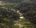 Guyane: des associations demandent un moratoire sur la "Montagne d'or"