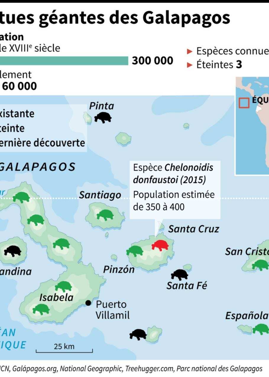 Donfaustoi, le dernier géant découvert aux Galapagos