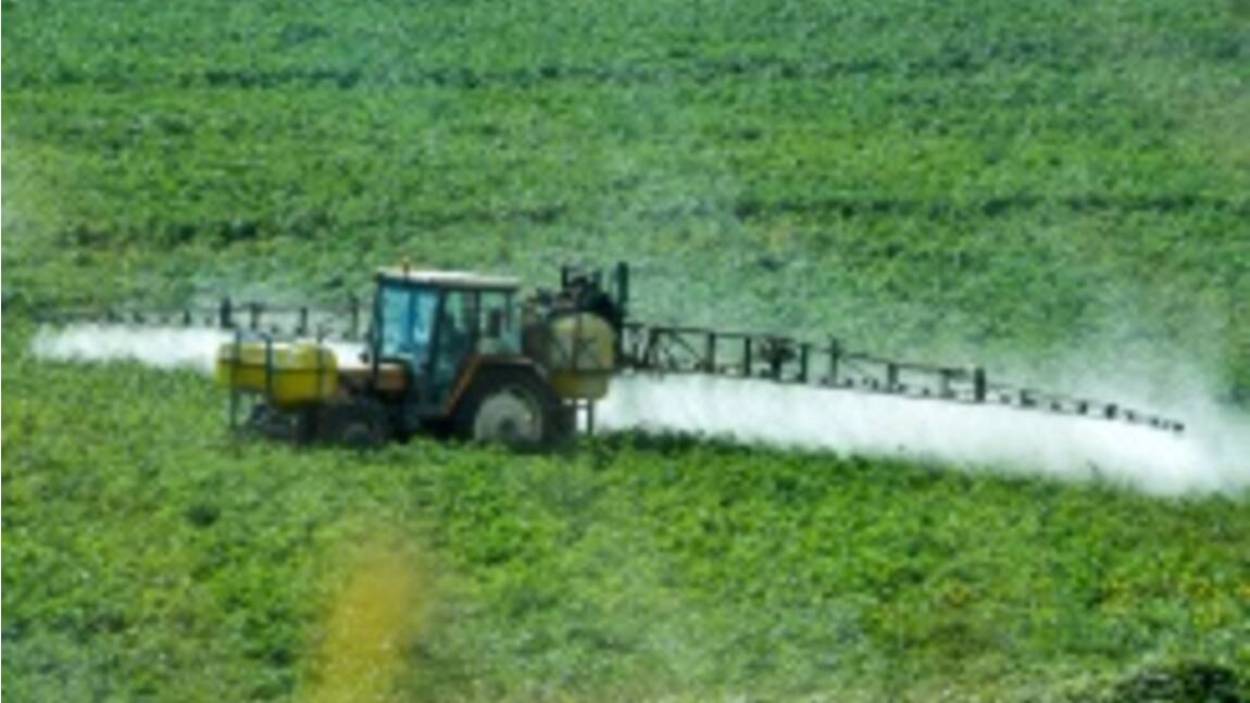 Réduire les pesticides: l'agriculture conventionnelle s'y met à pas comptés