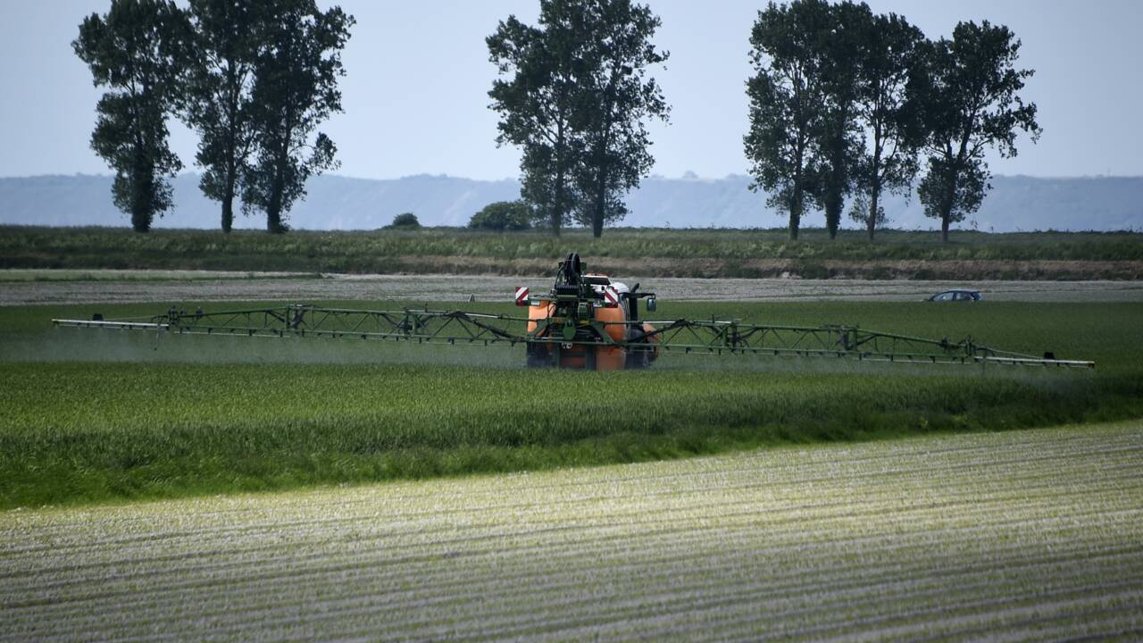 En Bretagne, la lente prise de conscience des méfaits des pesticides