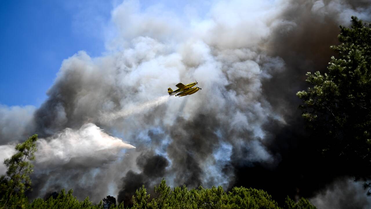 Incendies au Portugal: 214.000 hectares calcinés depuis janvier