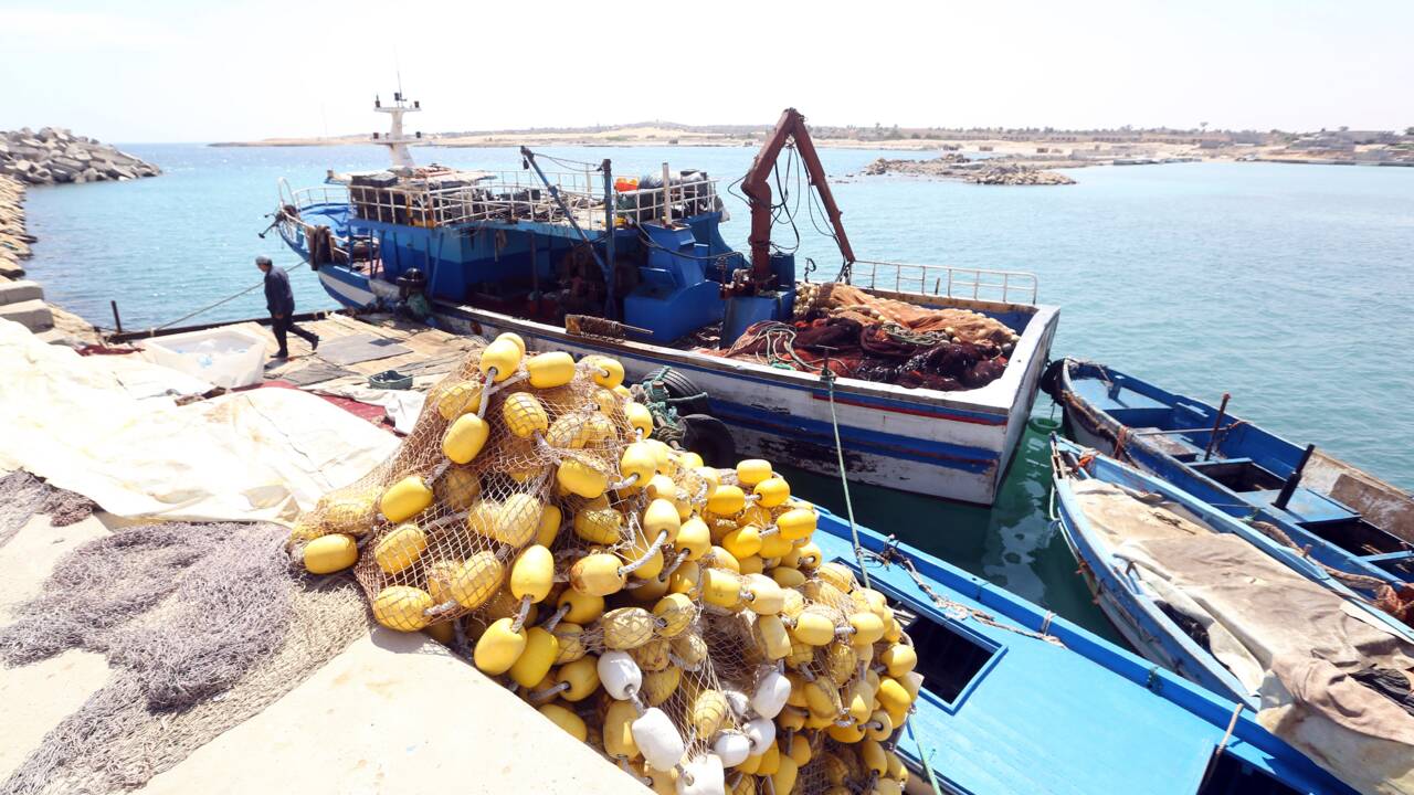 La pêche à l'explosif en Libye, fléau écologique en Méditerranée