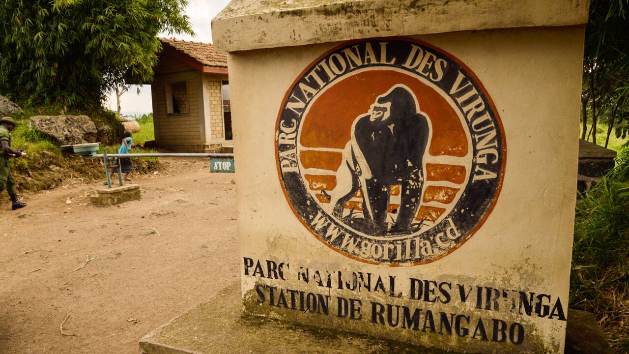 "Happy end" pour l'enlèvement de deux Britanniques dans l'est de la RDC