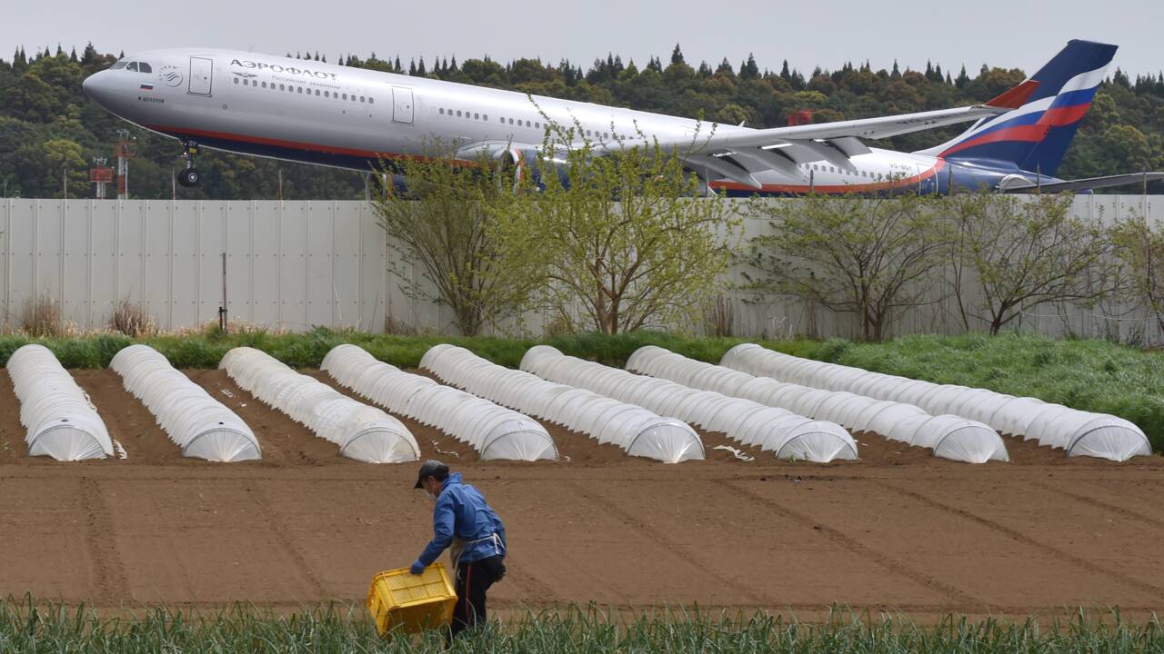 Le combat d'irréductibles fermiers japonais contre l'aéroport de Tokyo-Narita
