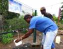 Mayotte: une eau douce économisée goutte à goutte