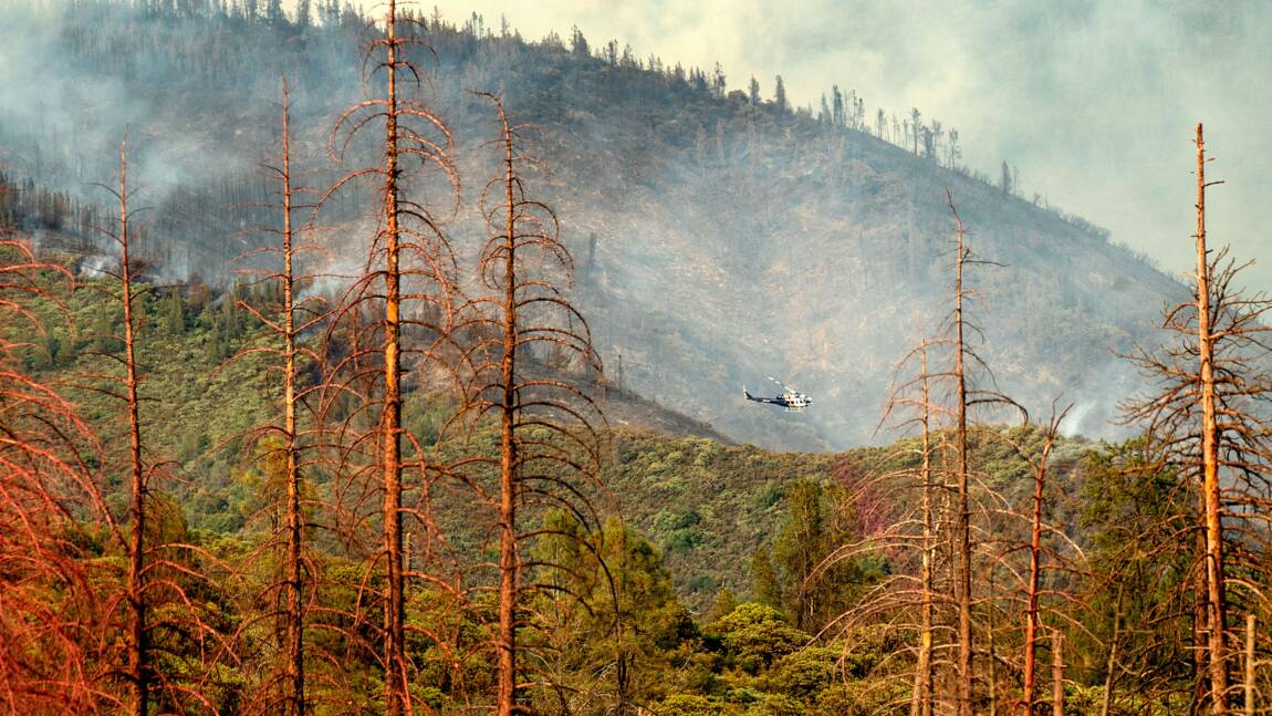 Le parc américain de Yosemite partiellement fermé à cause de l'incendie