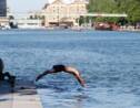 Se baigner dans la Seine, un rêve bientôt réalité ?