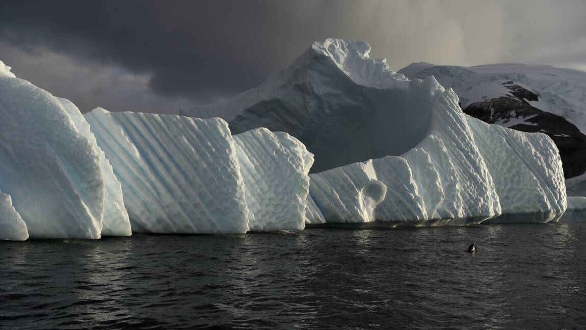 Climat: la banquise antarctique sur la voie du déclin?
