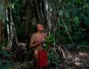 La forêt amazonienne, source de vie des indiens Waiapi
