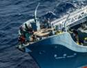 Le Japon lance une nouvelle campagne de pêche à la baleine