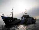 Sea Shepherd retrouve un baleinier japonais "derrière un iceberg"